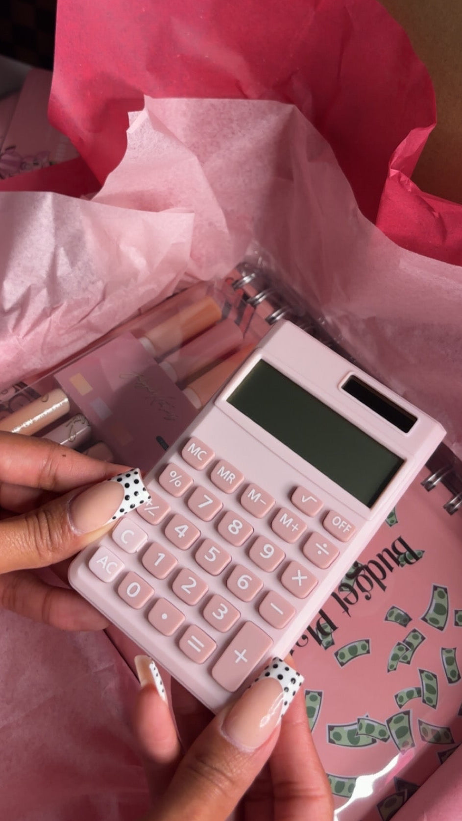 Pink Budget Bundle Box