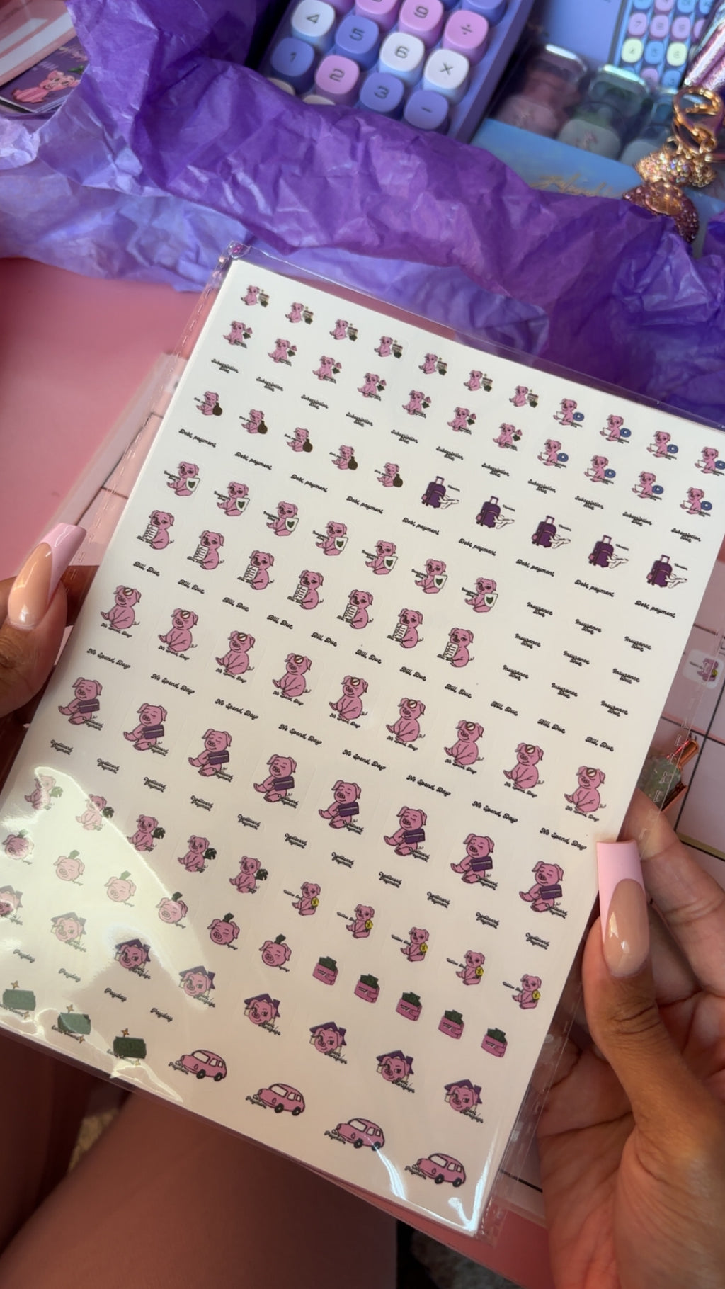 Budget piggy stickers