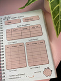 1st edition 12 month budget planner